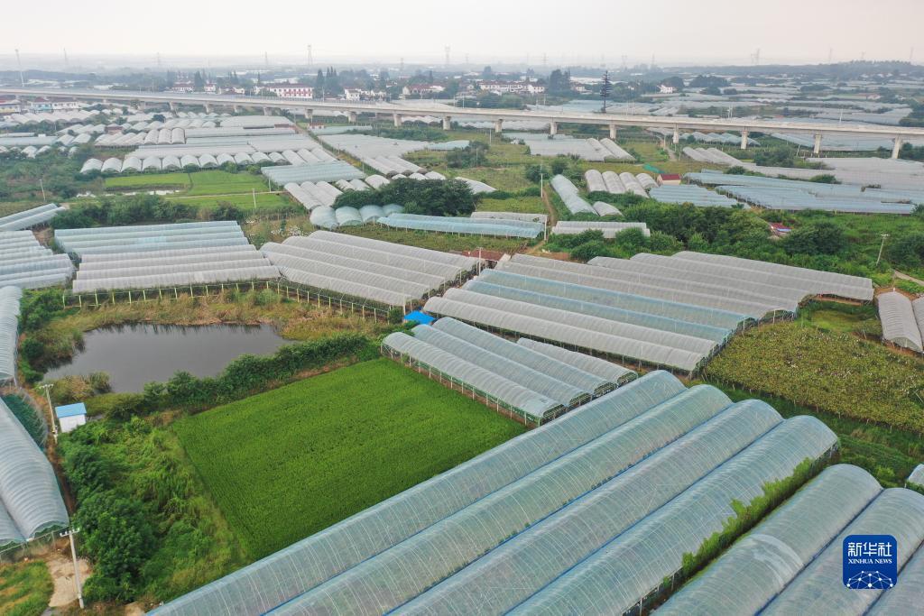 大西洋城官网平台